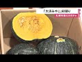札幌特産のカボチャ「大浜みやこ」初競り 「大変糖度も高くておいしい」5玉10キロで7万円 (22/07/19 12:08)
