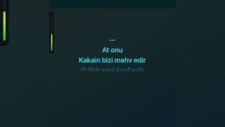 Elvina-Sanki Buz(Karaoke)