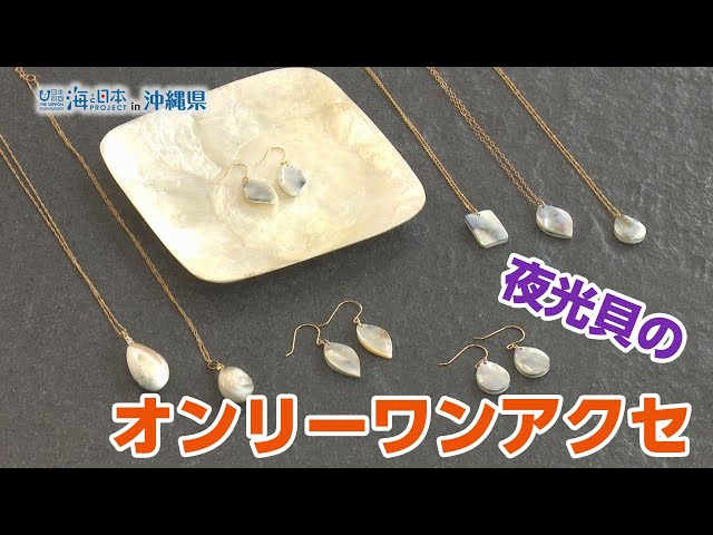 2025.7.23海霊イルカ 沖縄夜行貝