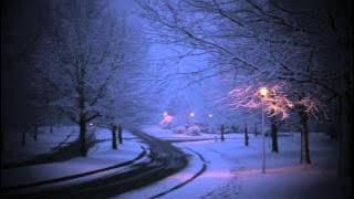 ÆkaSora- Winter Path (Studio Ghibli remix)