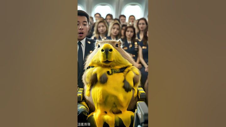 卡皮巴拉在飞机上揉出好多黄色泡沫  Capybara rubbing a lot of yellow foam on the plane #capybara #funny #animals