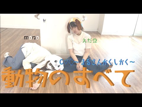 まるさんかくしかく - YouTube