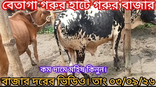 Download lagu বেতাগা গরুর হাটে খামার উপযোগি গরু মহিষের দর। বিস্তারিত জানুন। তাং ০৩/০৯/২৬