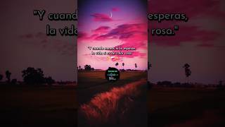 ❤️‍🩹 #vivelavida #disfrutaelproceso #frasesdeamor #pazinterior #vibraspositivas