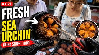 Satisfying Sea Urchin Opening & Cutting Live 🔪🌊 screenshot 1