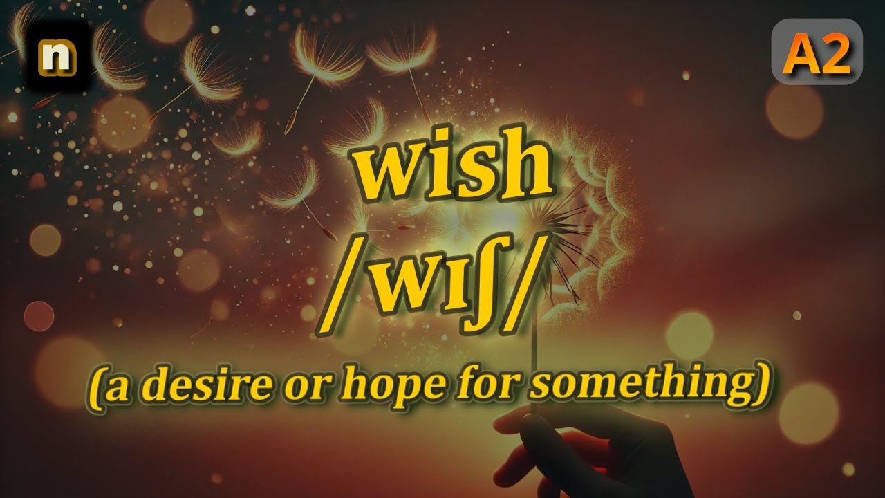 [n] Wish meaning (a desire or hope for something) with 5 examples