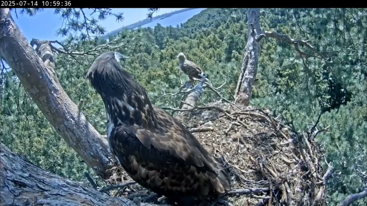 14.07.2025 Камычи. Тёрки с соседями продолжаются. 