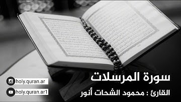 سورة المرسلات - القارئ محمود الشحات أنور