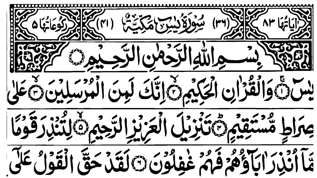 Surah Yasin, Rahman, Mulk 🕌Powerful Surahs for Success, Peace & Protection 🌹Sheikh Akram 