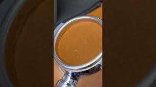 ONA Coffee Distributor OCD V3