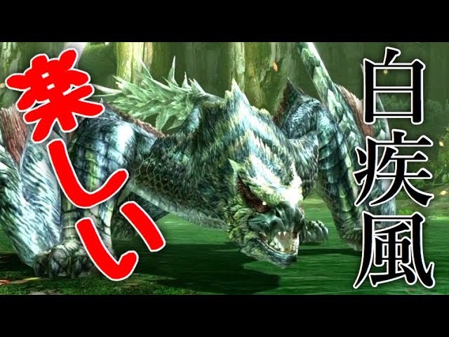 白疾風ナルガクルガ 二つ名の中でもかなり好き Mhxx ダブルクロス 81 Youtube