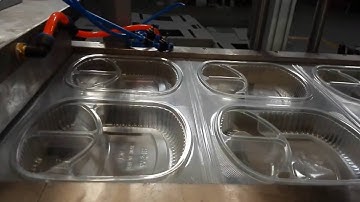 PP lunch box Automatic Thermoforming machine with cutting system