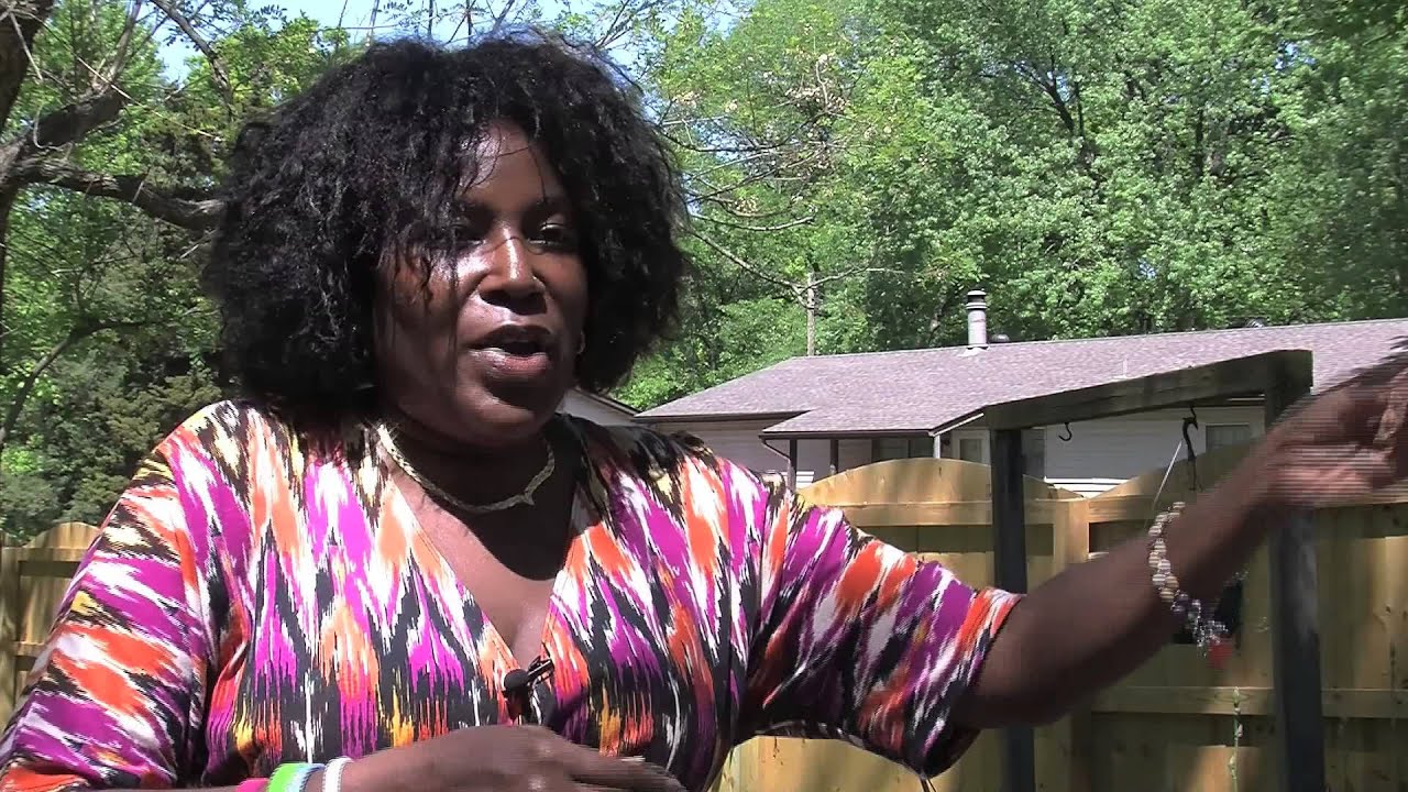 credit finance plus Debt Therapy - Credit & Debt Counseling