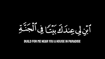 كروما شاشه سوداء القرآن الكريم ✨| تلاوة من سورة التحريم | قاري رعد محمد الكردي✨