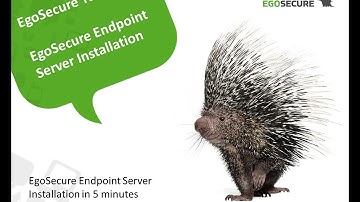 EgoSecure Server installation