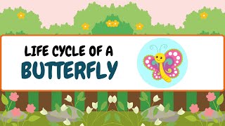 Butterfly Lifecycle Song| Nursery Rhymes| Egg, Caterpillar, Chrysalis, Butterfly