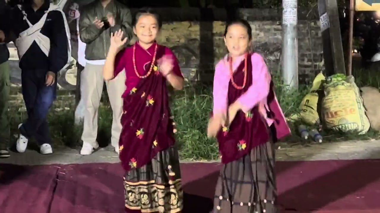 Sani bhadaini haru ko dance in tihaar 2082