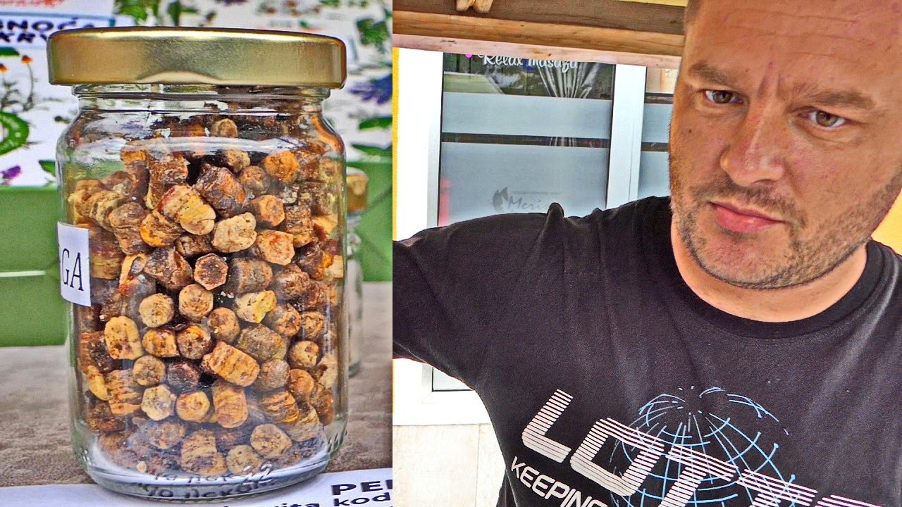 Šta je perga koju proizvodi Emsad