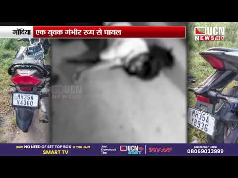 Gondia - हिरडामाली के पास भीषण सड़क हादसा