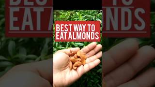 EAT ALMOND EVERY DAY| KACHABADAM REELS| HEALTH BENEFITS OF ALMOND SABEENA VLOGS?