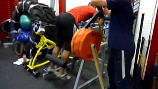 GymCompany Reverse Hyper Deluxe