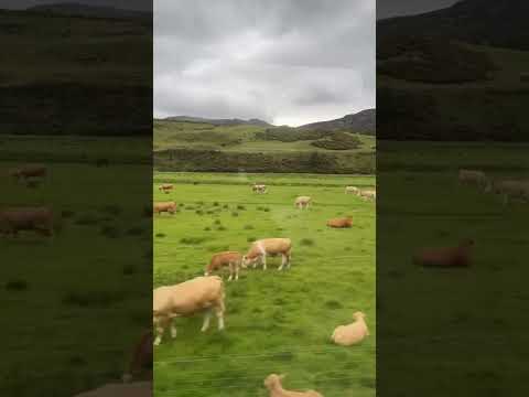 Could this be one of the best views from a train journey? 🤔