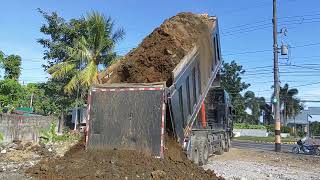 Amazing scary shacman dump truck reverse to unloading soil.. naling tv...