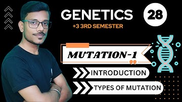 Mutation- 1 || Genetics || +3 3rd Semester || DSC Paper -7 || Lec -28