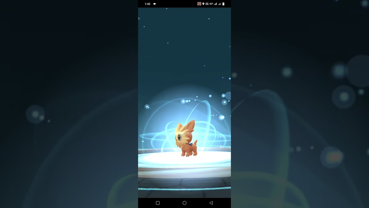 Lillipup to Herdier Evolution @Pokemon go |i Gamer|