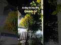 A day in my life..Episode-14 #daily #dailyshorts #dailyvlog #trendingshorts #trending #youtube