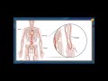 Gasometria arterial - medicina interna de HARRISON 19 Ed