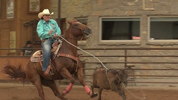 BreakawayRoping.com: Scoring Details on Sensitive Horses