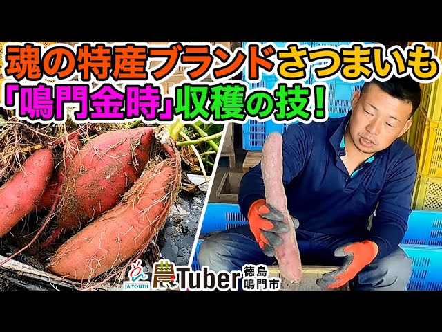Harvesting Techniques for Tokushima's Soulful Specialty Brand