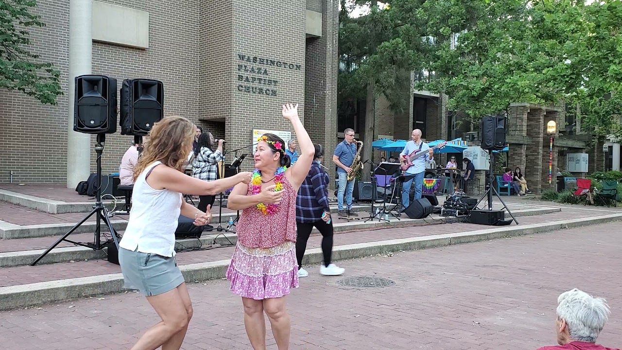 Brazilian Jazz live concerts 😻💕😹lake Ann Reston