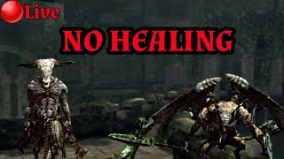 DARK SOULS, NO HEAL RUN! (no mic, just gameplay)