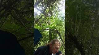 Midnight Whispers By Joshua D Winstead