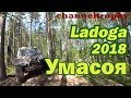 Сериал Ladoga. Умасоя. 4x4 off road. Гонка по бездорожью на внедорожниках.