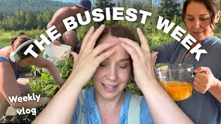 A Week in my Life as a Homemaker & Farmer’s Wife