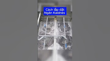 Ngăn kaldnes trong hồ cá koi là gì ? #shorts #short #hocakoi