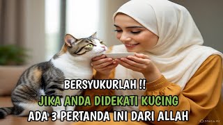 Jika Anda Didekati Kucing, Ada 3 Pertanda ini Dari Allah | Alahamdulillah