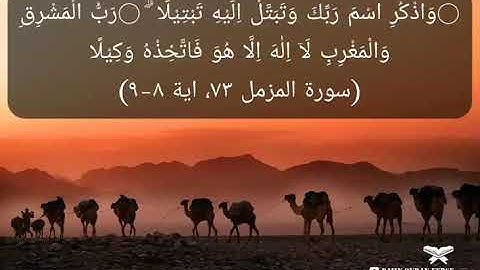 #daily_quran_verse | (Al-Muzzammil 73: Verse 8-9) | (سورة المزمل ٧٣، اية ٨-٩)