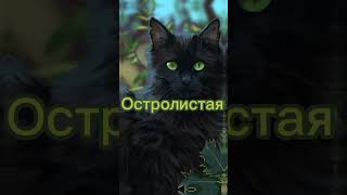 коты-воители эдит Воробей, Остролистая, Ромашка, Искра, Голубка и Остролап #warriorcats #эдит #кв 💕