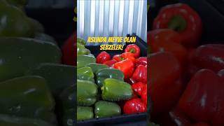 Aslında Meyve Olan Sebzeler!