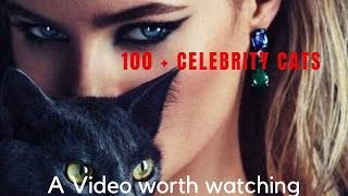 100 Cats with Celebrities by Cat Facts 262 views 4 years ago 5 minutes, 57 seconds
