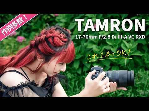 I've Found Another Lens I Want for My Z50 II! TAMRON 17-70mm F/2.8