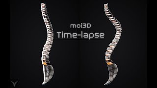 Famous Spine modeling demo in MOI3D meditation Net Worth