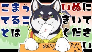 【２回目おさんぽ！】しばが解決！飼い主さんのお悩み相談室！
