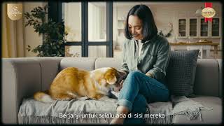 Download Lagu SmartHeart Gold Veterinary Diet - Longevity \u0026 Quality of Life MP3