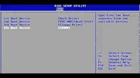 How to Set your BIOS to boot from CD or DVD