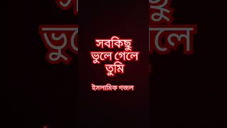 সবকিছু ভুলে গেলে - ইসলামিক গজল